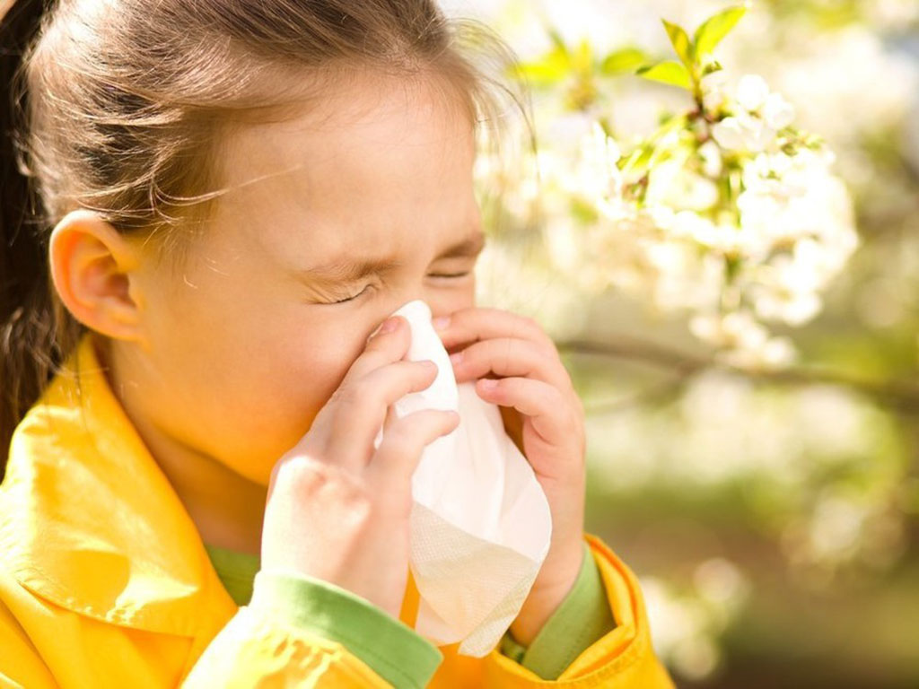 Miền Bắc nồm ẩm: 3 nhóm bệnh dễ bùng phát và cách phòng ngừa