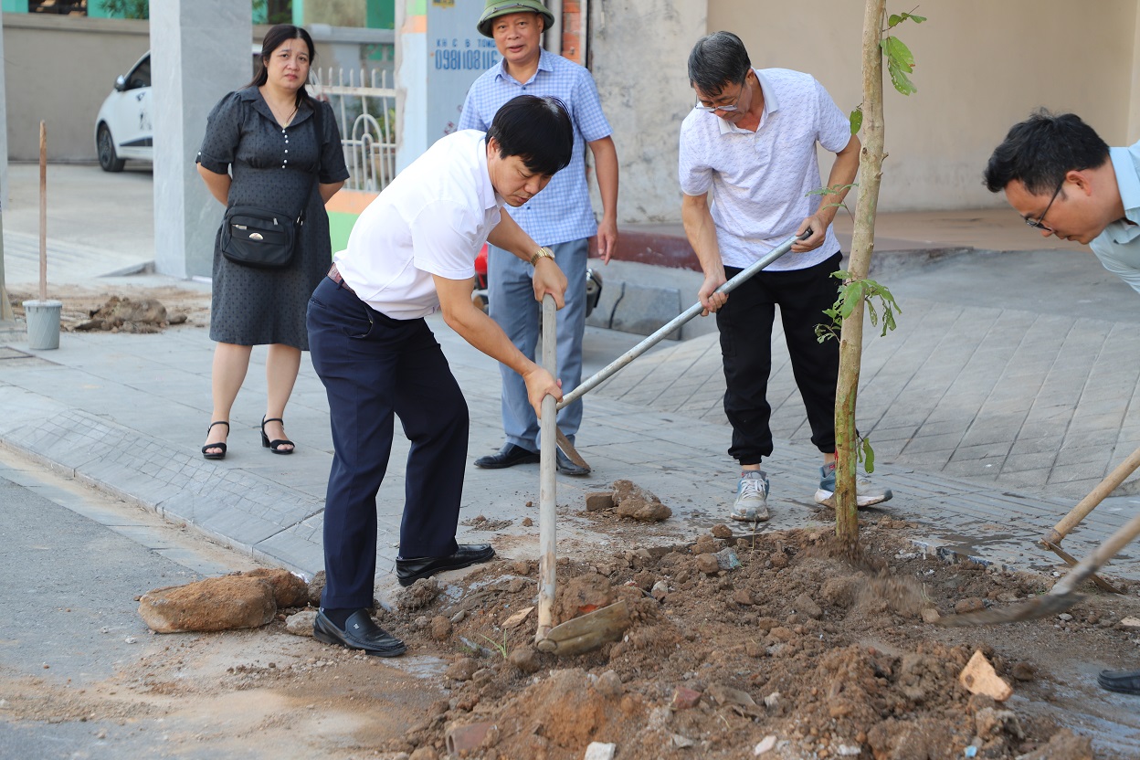 CDC Quảng Ninh chung tay cùng chính quyền địa phương trồng thay thế cây xanh do ảnh hưởng của bão số 3